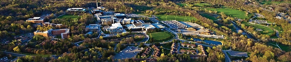 Campaign-Priorities-Feature-Header