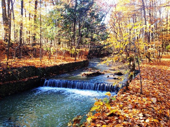 saw-mill-valley-waterfall