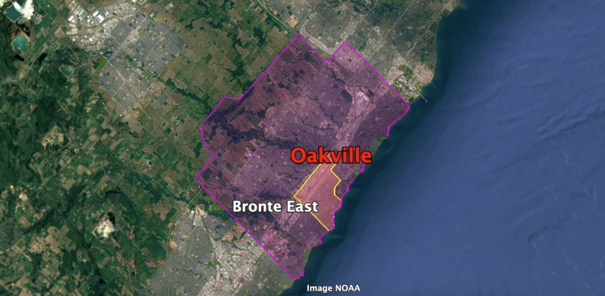 Screen Shot 2021-02-24 at 7.59.59 PM