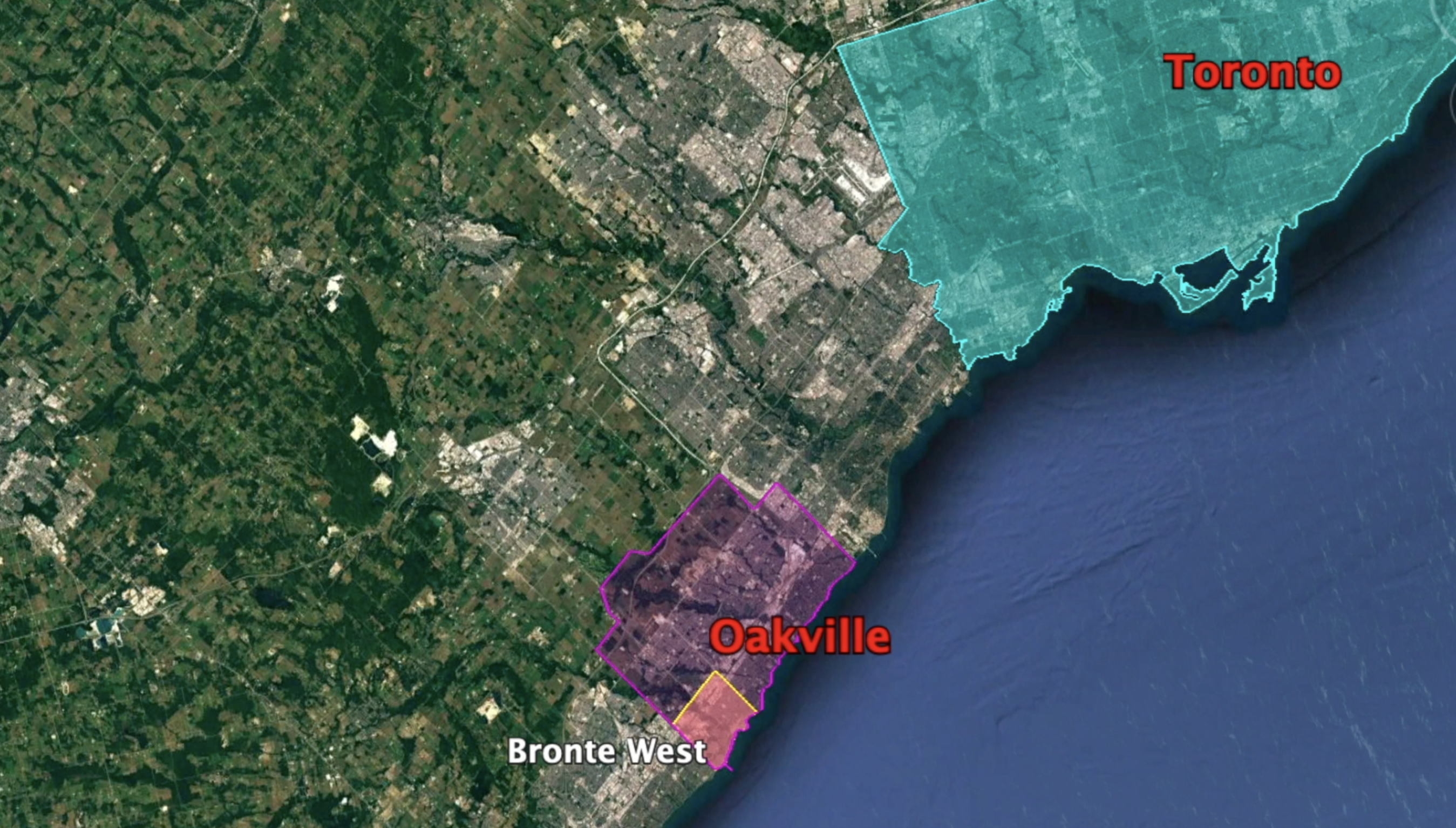 Screen Shot 2021-02-24 at 8.03.59 PM