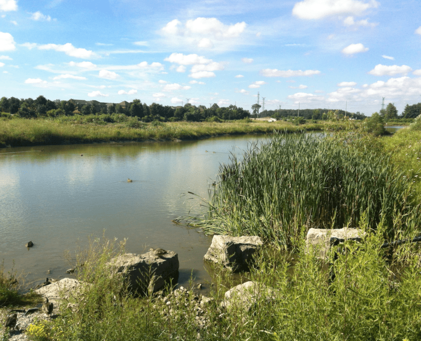 View-of-Osprey-Marsh-in-Lisgar-Mississauga-845x684