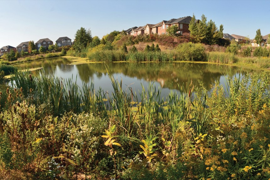 west-oak-trails--scaled