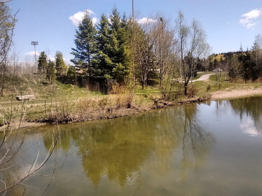 7c75b93097fb21ef77800d21e5e3b278_-ontario-regional-municipality-of-york-richmond-hill-harding-parkhtml